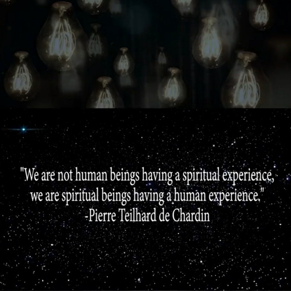 Japanese Harem Pants - Picture 7 of 8